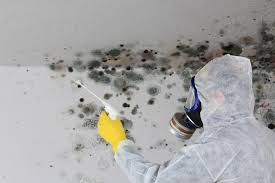 Why You Should Choose Our Mold Remediation Services in Beesleys Point, NJ